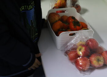 Palestra sensibiliza famílias para alimentação saudável das crianças