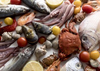 MARE – Politécnico de Leiria ajuda a criar plataforma de inovação para tornar indústria alimentar na região do Atlântico mais competitiva
