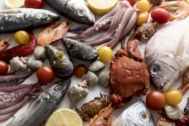 MARE – Politécnico de Leiria ajuda a criar plataforma de inovação para tornar indústria alimentar na região do Atlântico mais competitiva