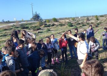 Bioblitz descobre zonas húmidas da Mata do Urso