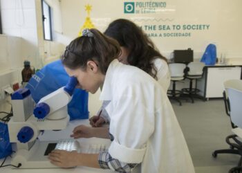 Politécnico de Leiria estuda organismos marinhos para criar novos produtos