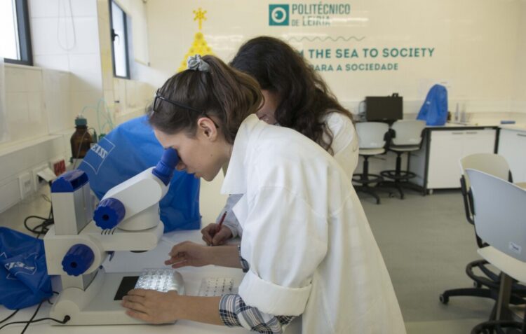 Politécnico de Leiria estuda organismos marinhos para criar novos produtos