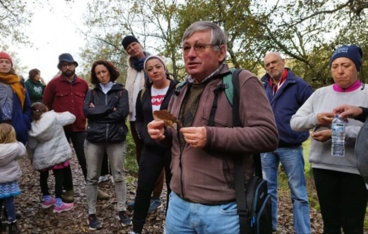 Valorização da bolota leva especialistas a Ansião para Conferência Ibérica