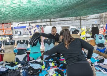 “É tudo a um euro”. Mais barato e mais escolha. Na feira de Leiria há de tudo, só faltam mais clientes