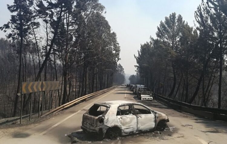 Livro “O que devo saber sobre tempestades de fogo” apresentado na quinta-feira