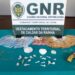 Cinco pessoas detidas por suspeita de tráfico de droga em Caldas da Rainha