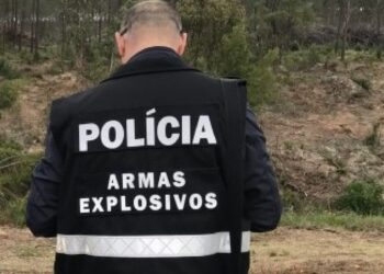 PSP esclarece sobre uso e porte de armas em Ansião