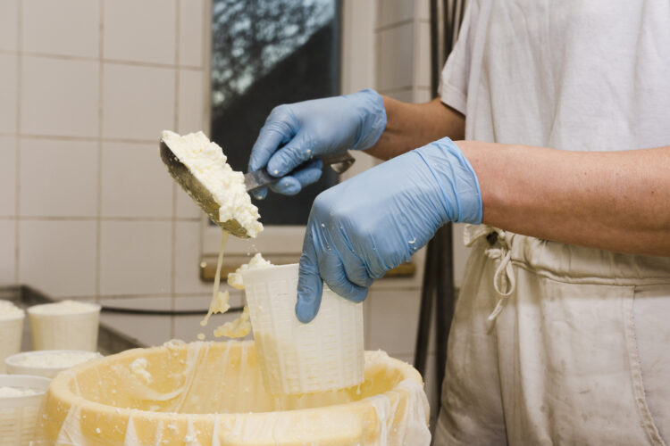 Produtores de leite para Queijo Rabaçal asfixiados com custos de produção