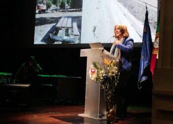 Até 2025, ICNF prevê investir mais de 9 milhões de euros na Mata Nacional de Leiria