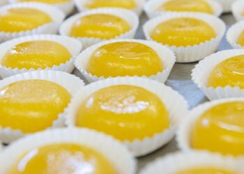 Brisas do Liz, Leitão da Boa Vista e morcela de arroz passeiam em festival gastronómico em Paris