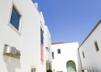 M|i|mo. Saída de Sofia Carreira deixa museu sem coordenadora
