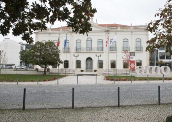 Assembleia Jovem de Ourém coloca alunos a pensar Revolução dos Cravos