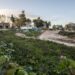 Condomínio de luxo com 137 casas vai nascer ao lado da Villa Portela