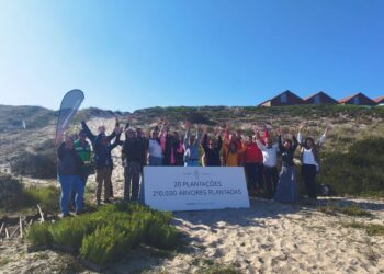 Atletas olímpicos e colaboradores da Caetano Auto e da Toyota Caetano Portugal plantaram dez mil pinheiros na Praia da Vieira