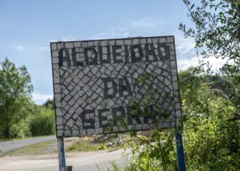 Alqueidão da Serra garante 6,4 ME para tornar floresta mais resiliente