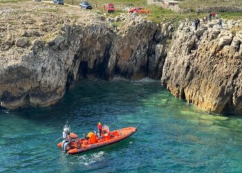 Autoridade Marítima resgata cão que se encontrava numa gruta em Peniche