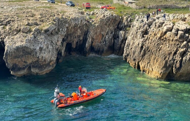Autoridade Marítima resgata cão que se encontrava numa gruta em Peniche