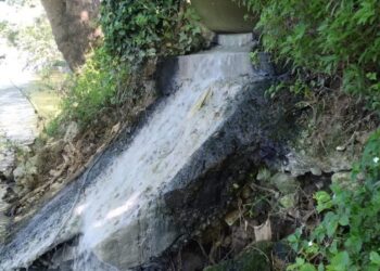 Descarga ilegal de efluentes domésticos detectada no rio Lis