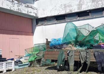 Quatro arguidos e um detido por crimes ambientais, em Vieira de Leiria