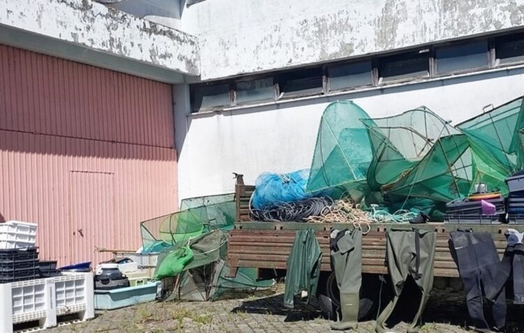 Quatro arguidos e um detido por crimes ambientais, em Vieira de Leiria