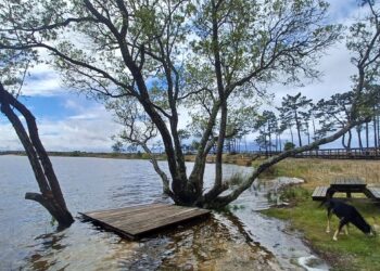 Lagoa da Ervedeira atinge  cota máxima dos últimos 30 anos