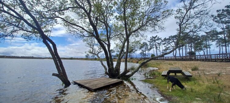 Lagoa da Ervedeira atinge cota máxima dos últimos 30 anos
