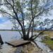 Lagoa da Ervedeira atinge cota máxima dos últimos 30 anos