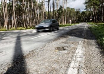 Pombal investe meio milhão de euros na limpeza de faixas de gestão de combustível