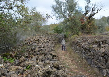 Despovoamento da serra de Sicó discutido na Redinha