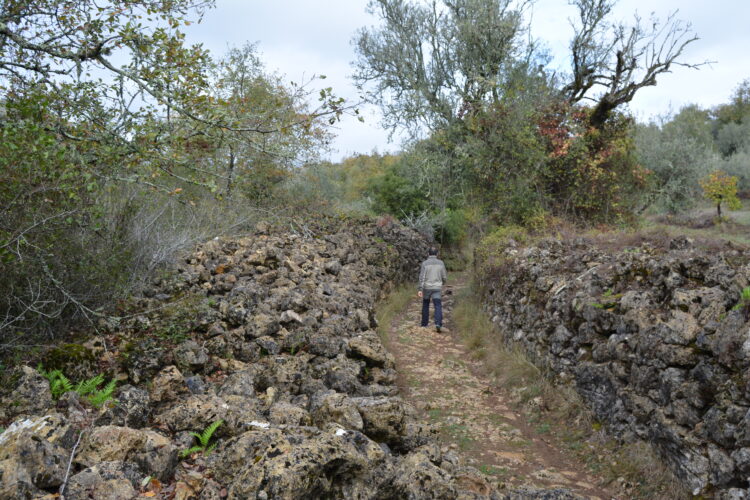 Despovoamento da serra de Sicó discutido na Redinha