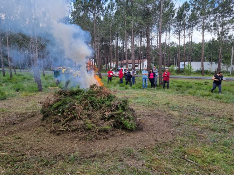 Município da Marinha Grande sensibiliza para a prevenção de incêndios
