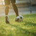 Três adeptos do Sport Lisboa e Marinha identificados por agressões e lançamento de petardos