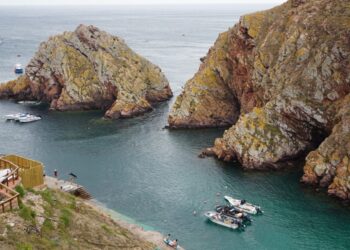 Taxa turística da ilha das Berlengas rendeu mais de 200 mil euros em 2023