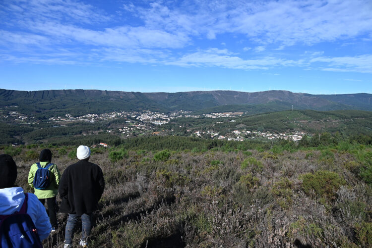 Jovens vão ajudar a preservar as florestas em Castanheira de Pera