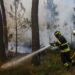 Incêndios: Região de Leiria insiste na revogação da Carta de Perigosidade