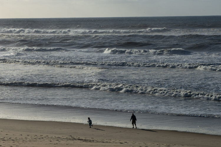 Acção de limpeza da Praia do Pedrógão prevista para amanhã