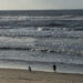 Acção de limpeza da Praia do Pedrógão prevista para amanhã