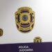 PJ detém suspeito de pornografia de menores em Caldas da Rainha