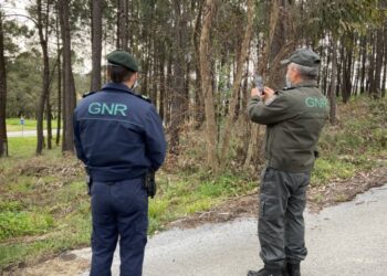 Leiria é o distrito com mais sinalizações de terrenos por limpar
