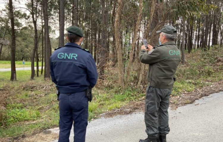 Leiria é o distrito com mais sinalizações de terrenos por limpar