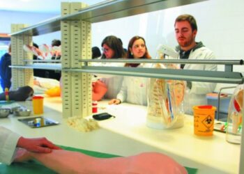 Terminam hoje as inscrições para a Academia de Verão do Politécnico de Leiria