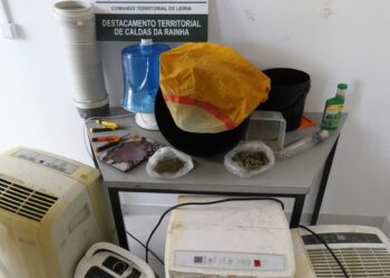 Detido por tráfico de droga após dois meses de investigação