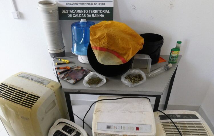 Detido por tráfico de droga após dois meses de investigação