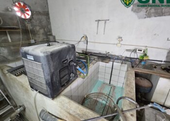 Leiria na rota da Operação Caviar de desmantelamento de rede organizada de pesca ilegal de meixão