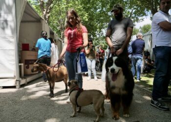 LeiriAnimália regressa no fim-de-semana ao ‘Parque do Avião’