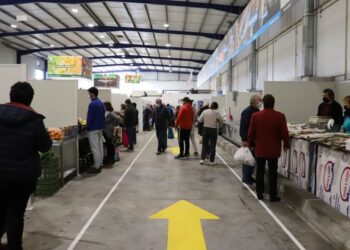 Vendedores reclamam intervenção no Mercado Municipal da Marinha Grande