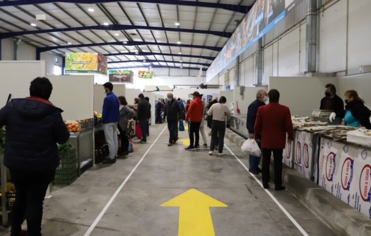 Vendedores reclamam intervenção no Mercado Municipal da Marinha Grande