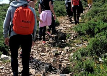 “Palmilhar Portugal” procura apoios para revolucionar turismo
