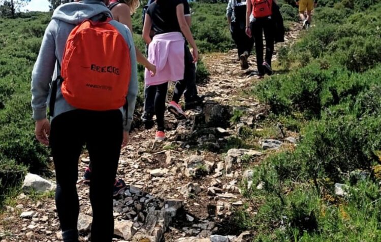 “Palmilhar Portugal” procura apoios para revolucionar turismo