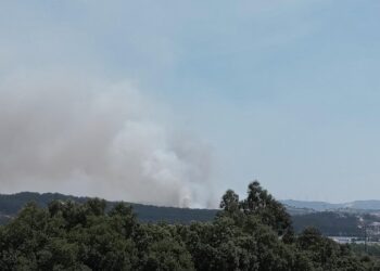 Incêndios em Leiria e Batalha mobilizam mais de 200 bombeiros